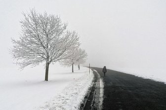 Wohin das Leben uns führt - 