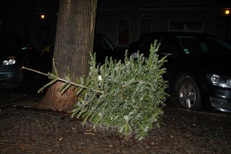 Wohin mit den ausgedienten Weihnachtsbäumen? In Elsdorf und Wechselburg packen die Jugendlichen an - Ausrangierte Weihnachtsbäume werden am 11. Januar in Wechselburg und Elsdorf von Jugendlichen abgeholt.
