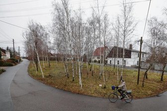 Wohngebiet Birkenhain in Limbach-Oberfrohna: Bald Spielkarussell und Bänke statt schiefer Bäume - Noch stehen die alten Birken schief und krumm auf dem Platz inmitten der Häuser des Wohngebietes Am Birkenhain. Doch bald werden sie gefällt. Denn das Areal wird bis zum Frühjahr komplett umgebaut.