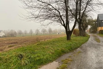 Wohnhausbau am Steinweg weiterhin umstritten - Wo jetzt noch freie Fläche ist, sollen am Steinweg (rechts) in Erlbach-Kirchberg vier Wohnhäuser entstehen. Die Bäume im Hintergrund stehen entlang der Äußeren Kirchberger Straße (S 246).
