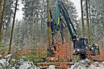 Wolkenstein: Wie ein Gigant tonnenschwere Bäume aus dem Wald holt - Im Forstrevier Heinzebank hat ein Raupenharvester seine Arbeit aufgenommen. Sein Kettenlaufwerk soll helfen, bei der Arbeit den Boden nicht so stark zu beschädigen. 