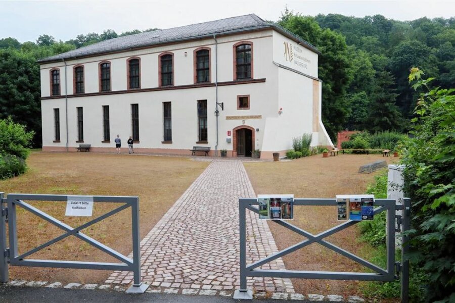 Wunderkammerrat: Wie ein neuer Verein das Museum in Waldenburg unterstützt - Ein Förderverein unterstützt das Museum und Naturalienkabinett in Waldenburg. 