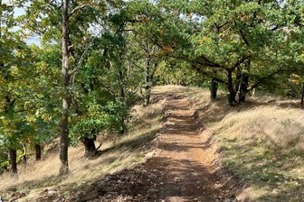 Wurde Bodendenkmal bei Wegebauarbeiten schwer beschädigt? - Der Wanderweg vom Parkplatz am Schloss Voigtsberg in Richtung Vogelherd wurde im Auftrag der Stadt gebaut. An der Strecke liegt das geschützte Bodendenkmal Schanze Voigtsberg.