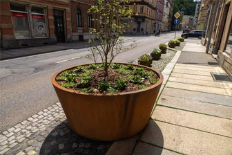 XXL-Pflanzkübel in Aue: Möglicherweise finden sie doch noch einen anderen Platz - Die Pflanzkübel stehen entlang der Wettinerstraße auf dem Parkstreifen. Offenbar gefällt vielen der Anblick nicht.