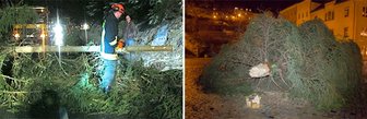 Zahlreiche Einsätze wegen Orkantief «Xaver» in Sachsen - 