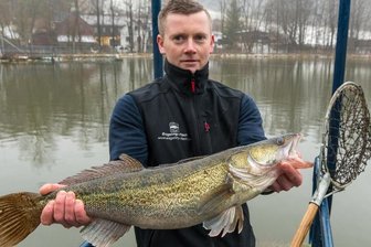 Zander zum Jahreswechsel - 