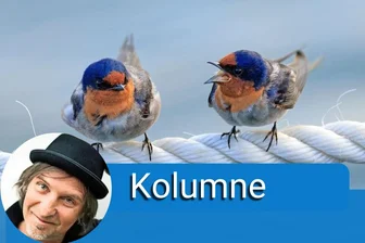 Zank unter Freunden -