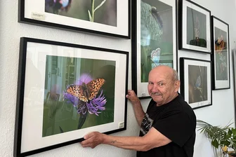 Zauberhafte Schmetterlingsvielfalt des Erzgebirges: Vortrag und Ausstellung in Schwarzenberg - Klaus Reichel gehörte zu den Ehrenamtlern, die beim Aufhängen der Bilder halfen.