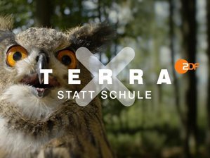 ZDF macht «Terra X»-Erklärclips frei zugänglich -  
          Ein Ausschnitt aus "Terra X statt Schule".