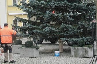 Zehn Meter hoher Baum für Weihnachtsmarkt in Elsterberg - Stadtbauhof-Mitarbeiter Reinhard Semrau dirigierte am Dienstag auf dem Elsterberger Marktplatz die Aufstellung des diesjährigen Weihnachtsbaumes.