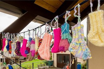 Zehn Tage Party: Lengefeld feiert 500.Geburtstag - Statt Wimpel zieren diesen Vorgarten rund 80 gestrickte Babysocken.