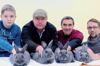 Zehnjähriger räumt bei Lokalschau in Waldkirchen vier Pokale ab - Um die beste Sammlung der Schau des jungen Züchters Nick Bräutigam (links) zu zeigen, halfen sein Vater Maik Bräutigam, der Vereinsvorsitzende Michael Dietel und Vereinsmitglied Christian Gruschwitz.