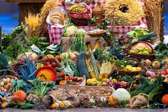 Zehntausende in knapp 100 Tagen erwartet: Mittweida rüstet sich für das Landeserntedankfest - Im Gegensatz zu den kirchlichen, meist am ersten Sonntag im Oktober gefeierten Festen nach der Ernte findet das Landeserntedankfest in Sachsen 2024 bereits am letzten Septemberwochenende in Mittweida statt.