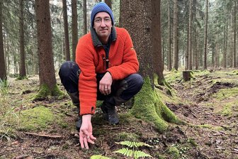 Zehntausende neue Bäume für den Geyerschen Wald im Erzgebirge: Warum jetzt auch gesät wird - Geyers Stadtforstleiter Martin Moßig zeigt ausgesäte Weißtannen im Geyerschen Wald.