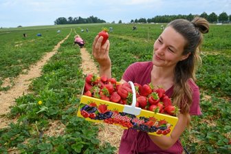 Zeit für süße Früchte - Esmee Jiskoot aus Holland
