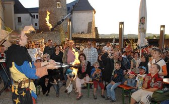 Zeitreise ins Mittelalter erlebt Gästeandrang - 
              <p class="artikelinhalt">Zum Mittelalterfest auf Schloss Voigtsberg in Oelsnitz unterhielt am Sonntagabend nochmals Gaukler Rabasius Funkenflug (Werner Domes) aus Gorleben im Hof die zahlreichen Besucher mit seinen Kunststückchen. </p>
            