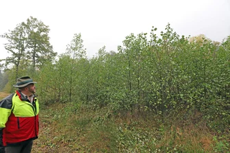 Zellwald bei Großvoigtsberg: Wanderwege zeitweilig für die Waldbesucher gesperrt - Revierleiter Chris Jasper, hier ein Archivbild, im Zellwald. Ab Mitte Februar findet die Holzernte statt.