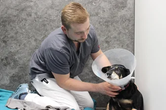 Zentrale Notrufnummer, größere Gebiete: Wie Tierärzte im Erzgebirge auf eine neue Struktur im Notdienst reagieren - Tierarzt Marcus Hoppe vom Zentrum für Kleintiermedizin Annaberg-Buchholz mit Hund Jasi, der ein Unfallopfer war. Ab Januar gibt es gravierende Änderungen im Kleintiernotdienst in Sachsen.