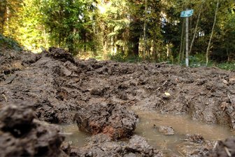 Zerfahrene Wege: Mühlentaler Gemeinderäte verärgert - Wege in Mühlental sind durch schwere Forst- und Landwirtschaftsfahrzeuge in Mitleidenschaft gezogen worden.