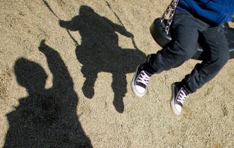 Zerstörte Geräte auf Spielplätzen in Plauen - Betroffen sind in Plauen die Spielplätze im Mammengebiet und im Kleinfriesener Park.