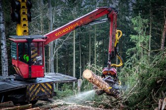 Zerstörte Waldwege durch Holzernte im Vogtland: Wie das in Ellefeld dieses Jahr verhindert werden soll - Holzernte im Vogtlandwald: Gerade bei Nässe im Winter zerstören die schweren Maschinen viele Wald- und Wanderwege. Damit das in Ellefeld nicht passiert, hat der Gemeinderat einen Kompromiss beschlossen.