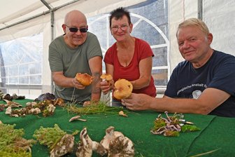 Ziegenbart, Steife Koralle, Schmetterlings-Trameten: Pilzberater Jörg Oehme aus Flöha organisiert Schau mit - Dietmar und Stefanie Kobrow sowie Jörg Oehme (l.) organisierten die Pilzschau in Frankenberg.