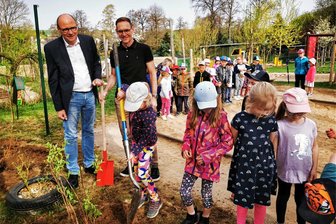 Zig neue Sträucher für Kita Großhartmannsdorf: Wer zahlt das Ganze? - Die Vorschüler der Kita „Bärenstark" in Großhartmannsdorf haben diese Woche mit Bürgermeister Dirk Müller (2.v.l.) und Sparkassenvorstand Hans-Ferdinand Schramm (l.) auf dem Kita-Gelände Bäume und Sträucher gepflanzt.