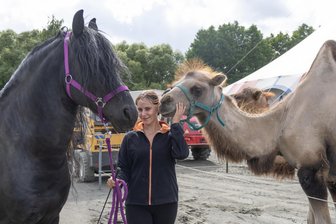 Zirkus im Erzgebirge: Wo ein traditionsreiches Familienunternehmen derzeit sein Zelt aufschlägt - 
