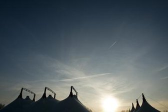 Zirkusgastspiel in Chemnitz: Peta fordert erneut Wildtierverbot -