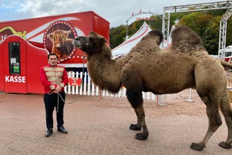 Zirkuszauber in Rochlitz: Circus Magic zeigt atemraubende Artistik und Tierdressuren - Jeffrey Endres und Kamel Ali laden in den Circus Magic ein. Dieser gastiert in Rochlitz.
