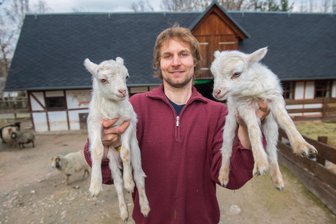 Zoo der Minis: Zwei Osterlämmchen sind schon da - 