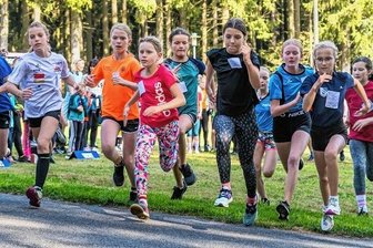 Zschopauer Schulen mit jeweils drei Titeln am erfolgreichsten - Nicht nur die Mädchen der Jahrgänge 2011 und 2012 waren beim Erzgebirgsfinale im Crosslauf mit Eifer bei der Sache. 