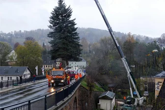 Zschopauer Weihnachtsbaum nach langem Flug gelandet - Von der Johannisstraße hievte der Kran die Blaufichte hinauf auf die Brücke, auf der ein Lkw den Transport übernahm.