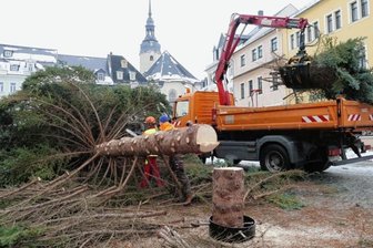 Zschopauer Weihnachtsbaum zum zweiten Mal gefällt -