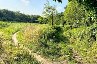 Zschopautalradweg in Erdmannsdorf: Gipfeltreffen im Feuchtgebiet - Im Sommer zugewachsen: Der Radweg zwischen Erdmannsdorf und Flöha verläuft geradeaus. Nach links ist der Bogen zu erkennen, mit dem im Frühjahr und im Herbst der dann verschlammte Abschnitt umgangen wird.
