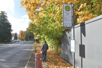 Zu rutschig bei Nässe: Leserin beklagt glatten Gehweg in Freiberg - Herbstlaub auf dem Fußweg Leipziger Straße zwischen Hainichener und Külzstraße in Freiberg.