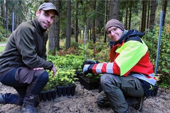 Zu trocken: Dem Wald gehen die Bäume aus - Philipp Schmidt (links) studiert in Göttingen Forstwissenschaften. Zurzeit begleitet er Revierförster Alexander Claus in dessen Revier in Schönheide. Dort wird in diesem Herbst auf 20 Hektar Fläche gepflanzt. 