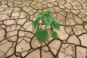 Zu wenig Klimaschutz: Umwelthilfe verklagt Sachsen -
