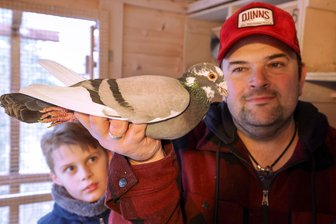 Züchter aus Lichtenstein: Seine Tauben haben den Wert eines Gebrauchtwagens - Taubenzüchter Patrick Naumann mit seinem Sohn Jamie und einer etwa sechsjährigen Zuchttaube.