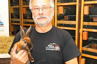 Züchter bereit für große Schau am Wochenende in Trünzig - Ulrich Schmidt ist seit ziemlich genau 50 Jahren im Rassekaninchenzüchterverein Langenbernsdorf-Trünzig dabei. 