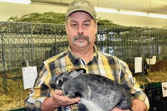 Züchter helfen sich und stellen 216 Tiere aus - Vereinsvorsitzender Steffen Vogel wurde mit Kleinchinchilla Kaninchen Vereinsmeister.