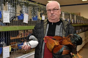 Züchter in Tirpersdorf, Altmannsgrün und Bobenneukirchen stellen aus - Am Wochenende ist Geflügelschau in Tirpersdorf. Zur Ausstellung 2020 wurde Dieter Mierendorf Vereinsmeister.