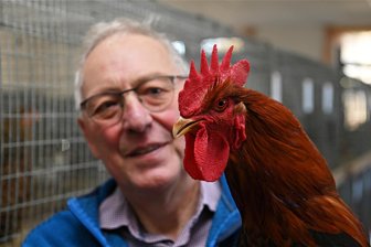 Züchter küren das schönste Kaninchen und das beste Geflügel - Freut sich auf die Ausstellung am Wochenende: Vereinschef Wolfgang Ahnert, hier mit einem Welsumer rost-rebhuhnfarbig.