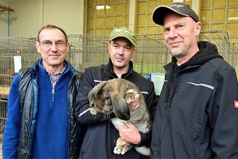 Züchterschau in Bad Brambach: Neuer Vereinschef freut sich über großen Andrang - Thomas Gliem, Vereinsmeister Kaninchen auf Deutsche Widder wildfarben, Vereinsvorsitzender Matthias Schurgott (rechts) und Ausstellungsleiter Jürgen Regner (links).