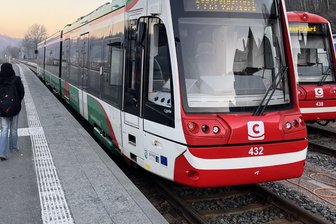 Zug-Chaos im Erzgebirge: Wurden die ausgebüxten Rinder vom Wolf aufgeschreckt? - Auf der Bahnstrecke zwischen Chemnitz und Aue sind am Sonntag zehn Züge ausgefallen.