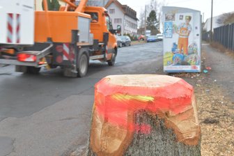 Zuger Straße: Freiberger Stadtrat entscheidet über Millionenprojekt - Die Zuger Straße in Freiberg soll saniert werden. Dafür wurden bereits Bäume gefällt.