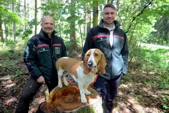 Zukunftswald, Trockenheit, Umzug: Das treibt einen neuen Revierleiter im Vogtland um - Sven Seeliger (links) von der Forstverwaltung freut sich, dass mit Matthias Gotter ein neuer Revierleiter für Bergen gefunden ist.