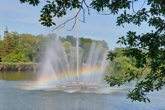 Zum 100. Geburtstag: Fontäne im Zwickauer Schwanenteich soll saniert werden - An manchen Tagen schillert sogar ein Regenbogen in der Fontäne im Zwickauer Schwanenteich.