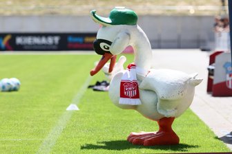 Zum Saisonstart des FSV Zwickau: Visionen ja, aber weiter fleißig Schritt für Schritt - Das Schwäne-Maskottchen des FSV Zwickau ist auch in der anstehenden Saison wieder mit am Start.