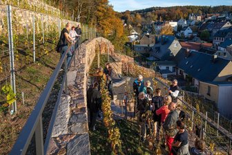 Zum Tag der Deutschen Einheit: Lichtensteins Schlossherr kredenzt ersten Wein - Schon 2021 wurde auf den Weinberg eingeladen. Diesmal öffnet nur der obere Teil, der Mario Schreckenbach gehört.
